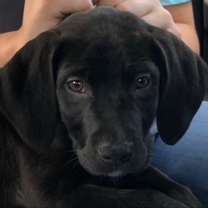 Meet your Posher, Nicole